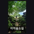 애월 자연숲 카페 이끼숲소길 숲속 산책과 음료의 조화