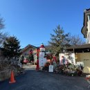 숲이랑아이랑유치원 | [공지] 일산 아이랑 체험형 카페 필그림 [숲체험 키즈쿠킹 공간대여 눈썰매 동물교감]