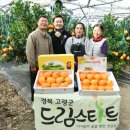 트리앤팜 이미지