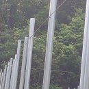 하늘녘싱싱팜 이미지