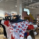 예쁜댕 | 프랑스 파리 신혼여행2 _ Disneyland Paris 🎠