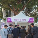 심산문화센터앞 횡단보도 | 대전 와인 엑스포 한빛탑 축제 부대 행사 엑스포다리 먹거리 데이트 코스