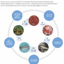 백운산생태관 1층 | [울산/구영리] 울산 울주군 가볼만한 곳, 태화강생태관