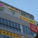 세종시주짓수아카데미