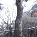 와룡공원 이미지