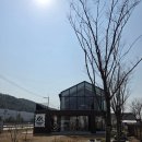 일랑일랑 | [칠곡] 애견전용 캠핑장 | 일랑일랑 캠핑장 두가족 자리 후기