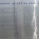 금강솔바람길 이미지