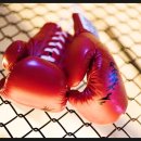 신은철복싱월드 이미지