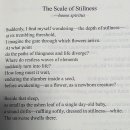 김추인 시인 영문시집 『An Odyssey of Eggs』 시 한 편 「The Scale of Stillness」 를 번역 소개 이미지