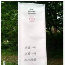 진가세소리 네이버블로그