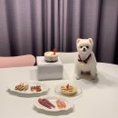 도기키친 프롬제주 | [강아지 케이크] 반려견 생일을 위해 '도기키친 프롬제주' 에서 생일파티 세트 주문!