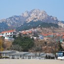 석도진 티스토리