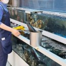 군산해물탕 이미지