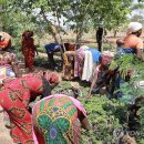 미나목장 이미지