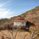 뉴황토펜션 이미지