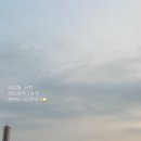풍수지리 | 일이 안 들어올 때 다녀온 풍수지리맛집 그랜드하얏트 후기