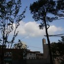 노랑통닭 명일점 이미지