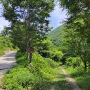 편백산림욕장 진입로 이미지