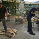 상아무역 이미지