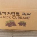 디자인커런트