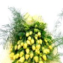 풍남의원 이미지