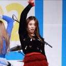 트리메드 Daum카페