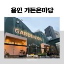 (주)마당 | 용인 가든온마당 내돈내산 식물 구매, 분갈이 후기 / 초보식집사 식물 추천