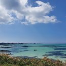 바다횟집 이미지