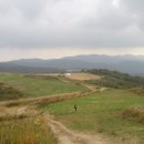 한신목장 1 이미지