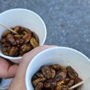 관악산 무장애숲길 | 가을느낌 관악산 등산기 초보의 도전 무장애숲길 산책로