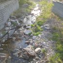 양평전원공인중개사사무소 이미지