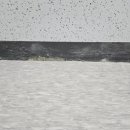 현대타워오피스텔 이미지