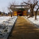 낙산사담장 이미지