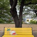 영주시자원봉사센터 | [벽화] 영주시자원봉사센터 2025 서천 벤치 &#34;힐링 벤치&#34; 사업