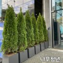태안조경 골프장 식재후기 에메랄드그린 배롱나무 수사해당화
