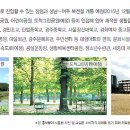 경안동주민센터-광주초교 이미지