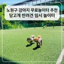 강아지산책 겸 다녀온 노원구 애견운동장, 당고개반려견임시놀이터 솔직후기