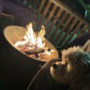 홍천리버카라반글램핑펜션 이미지