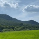 도드람산식당
