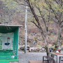 정선뜰 펜션 이미지