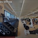 몸애반하다 이미지