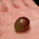 감사한양 1 이미지