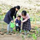 박종일농장 이미지