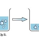 새움한의원