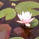 김제연농장 이미지