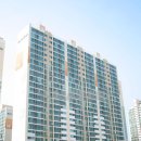 대우현대공인중개사사무소 이미지