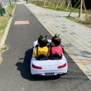 라라달라 이미지