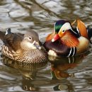 2호선 해운대역 3번출구 이미지