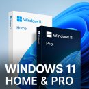 MS Windows 11 및 MS Office 이미지