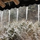 직동카센타 이미지